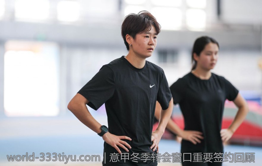 意甲冬季转会窗口重要签约回顾