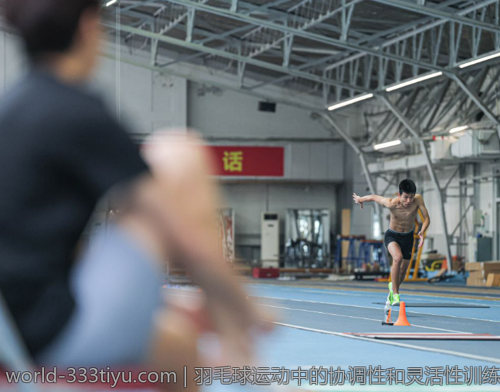 羽毛球运动中的协调性和灵活性训练