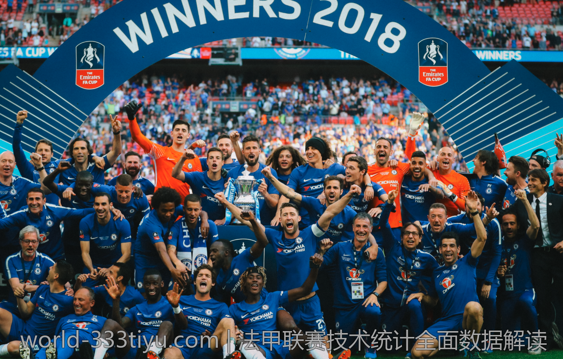 提升运动表现：333体育app的专业建议